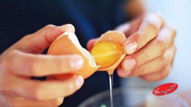 زرده تخم مرغ