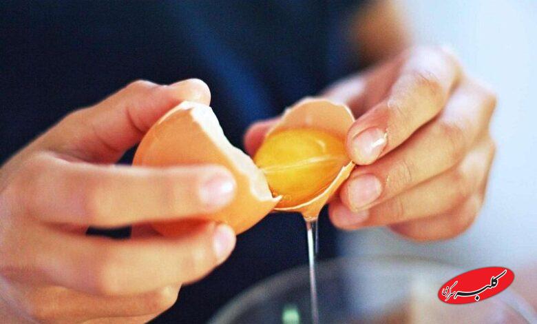 زرده تخم مرغ