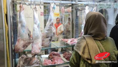 توزیع گوشت دولتی منجمد در میادین میوه و تره بار