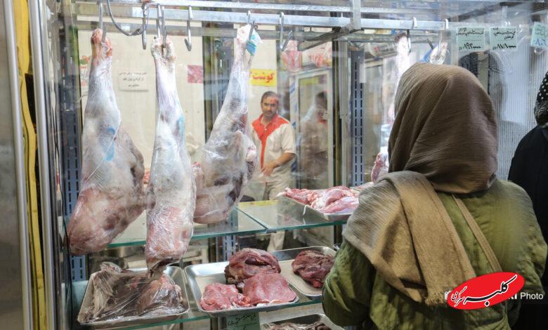 توزیع گوشت دولتی منجمد در میادین میوه و تره بار