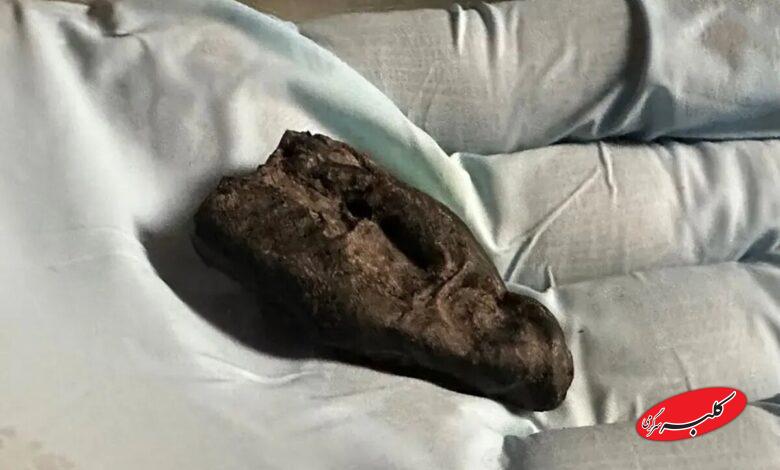 آدامس باستانی