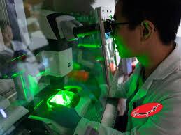 مغزهای کوچک آزمایشگاهی