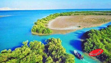 جزیره وارمی