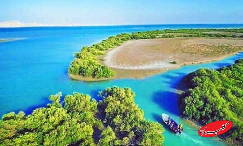 جزیره وارمی