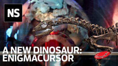 شاهکار دیرینزیستی