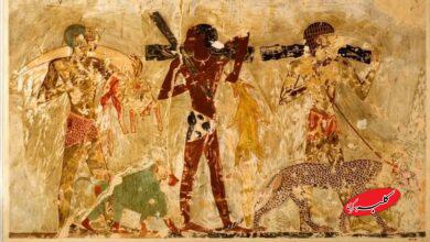 حیات وحش آفریقا