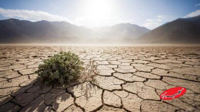 راهکار نهایی برای خشکسالی؛