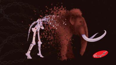 حیوانات منقرض شده