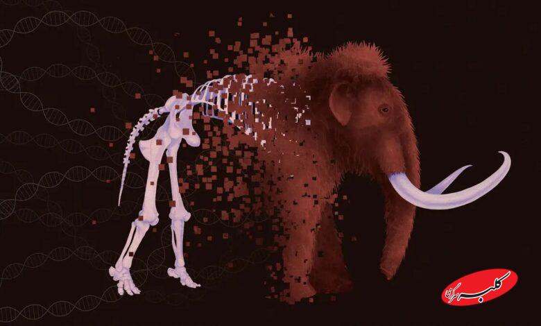 حیوانات منقرض شده