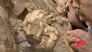 انسانتباران