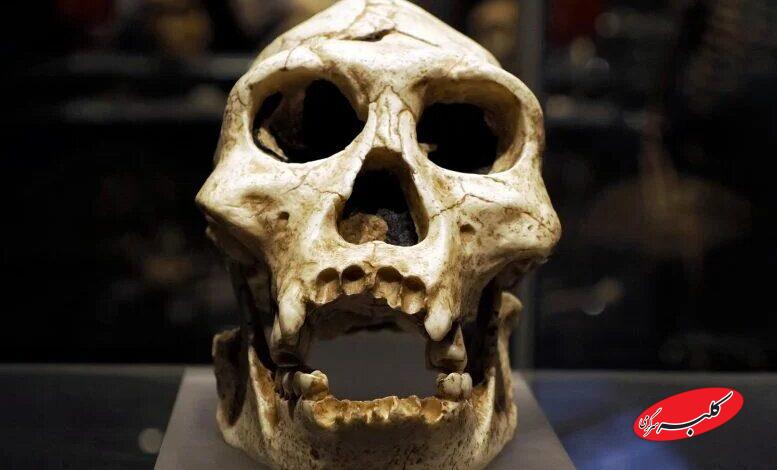 روایت تکامل انسان