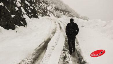 بارش برف / گیلان / زمستان / سرما