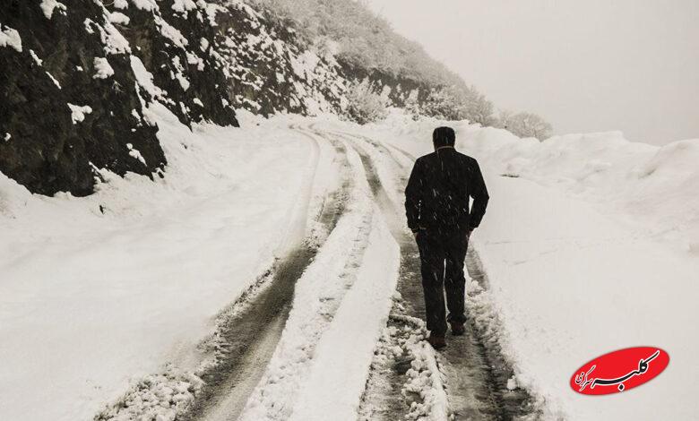 بارش برف / گیلان / زمستان / سرما