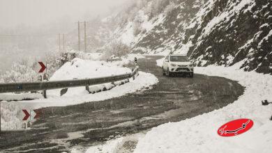 بارش برف / گیلان / زمستان / سرما