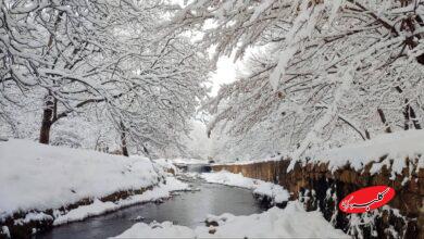 برف / زمستان / سرما