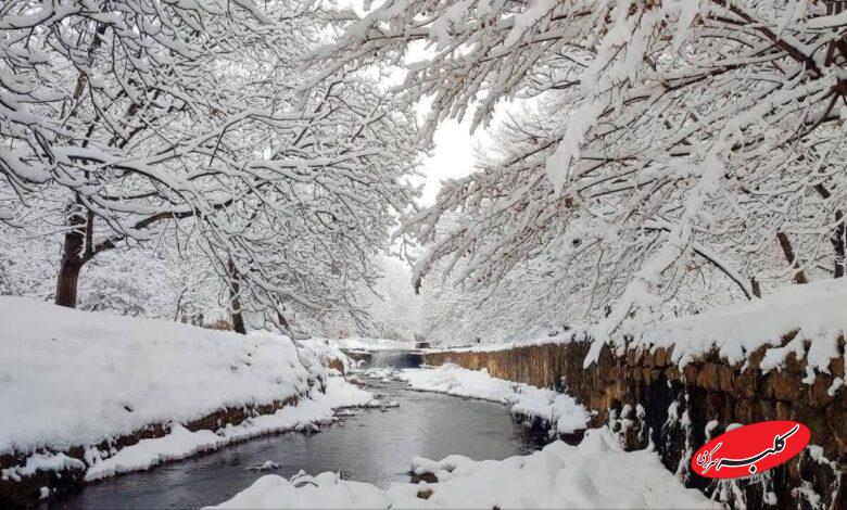 برف / زمستان / سرما