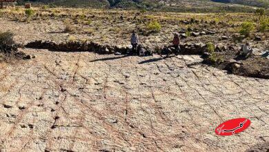 ردپای دایناسورها