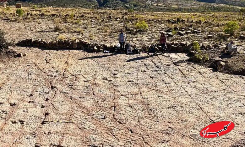 ردپای دایناسورها