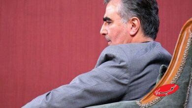 محمدرضا فرزین