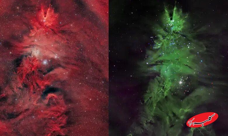 درخت کریسمس کیهانی