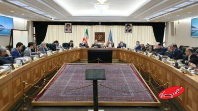 تیم اقتصادی دولت