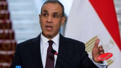 بدر عبدالعاطی