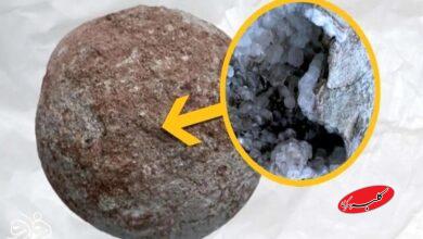 تخم دایناسور