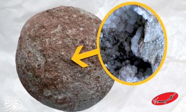 تخم دایناسور