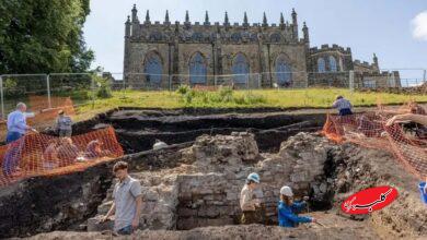 اکتشافات سال ۲۰۲۵