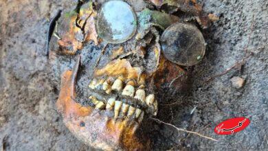 جسد در جنگل