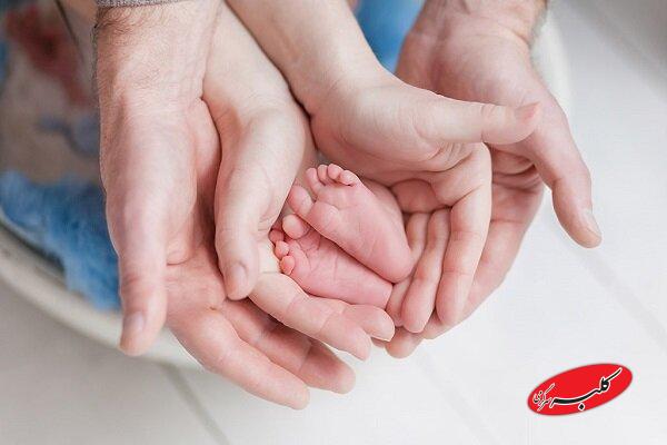 زنگ خطر ناباروری؛ یکپنجم زوجهای ایرانی با مشکل باروری روبهرو هستند
