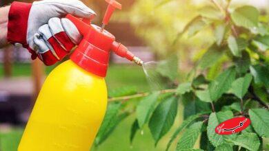 آفتکشها میکروبهای مفید روده را به خطر میاندازند