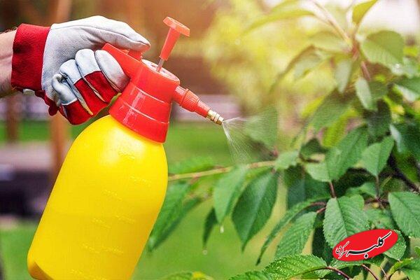 آفتکشها میکروبهای مفید روده را به خطر میاندازند