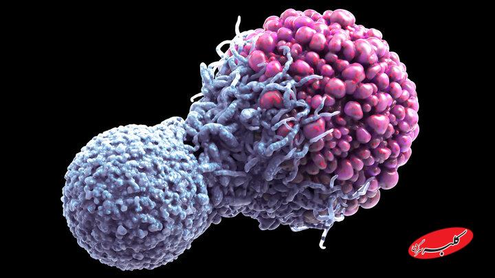 کشف مرگ سلولی میتواند به درمان سرطان کمک کند