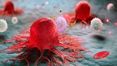 چگونه سرطان باعث مرگ میشود؟ نظریه جدید لخته شدن خون