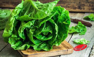 بالاخره چه قسمتی از کاهو نیترات بیشتری دارد؟/ آیا باید از نیترات کاهو ترسید؟/ این سبزی مشهورترین خوابآور طبیعی است