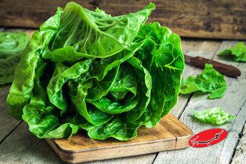 بالاخره چه قسمتی از کاهو نیترات بیشتری دارد؟/ آیا باید از نیترات کاهو ترسید؟/ این سبزی مشهورترین خوابآور طبیعی است