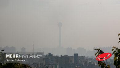 از استرس تا سرطان؛ آلودگی هوا چه بلایی سر بدن می‌آورد؟