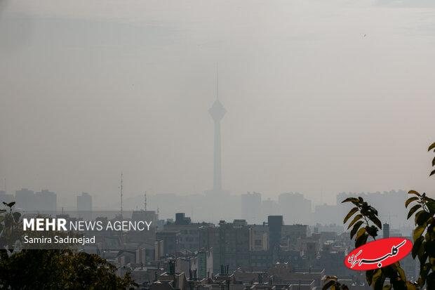 از استرس تا سرطان؛ آلودگی هوا چه بلایی سر بدن می‌آورد؟