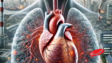 آلودگی هوا قلب را نشانه گرفت؛ هشدار جدی متخصص قلب