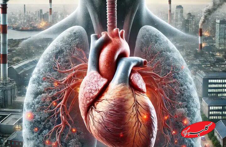آلودگی هوا قلب را نشانه گرفت؛ هشدار جدی متخصص قلب