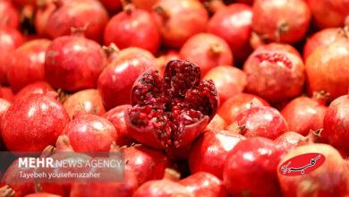شب یلدا را هوشمندانه بگذارانیم؛ نه پرخوری، نه حذف دورهمی
