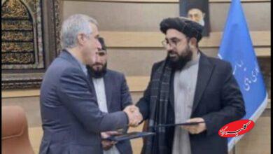 جزئیات همکاری ایران و افغانستان در حوزه غذا و دارو