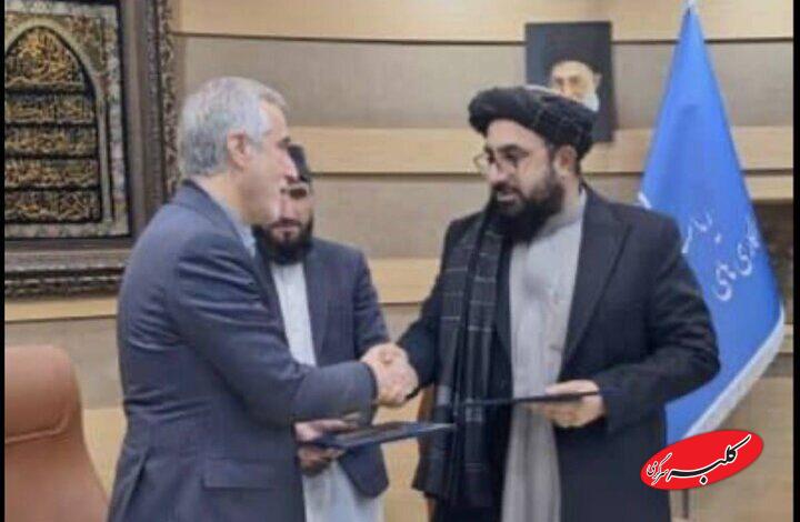 جزئیات همکاری ایران و افغانستان در حوزه غذا و دارو