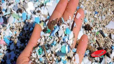 ریزپلاستیکها؛ مهمانان پنهان و خطرناک بدن انسان