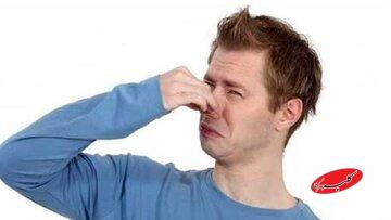 چرا بعضی مواقع محل ناف در بدن انسان بو میدهد؟/ ناف یک نفر میزبان باکتریای بود که قبلا فقط در خاک ژاپن دیده شده بود