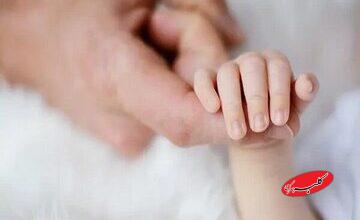 سبقت مرگ از تولد در این استان شمالی کشور