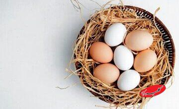 فواید معجزهآسای این ماده غذایی برای پوست و مو