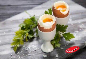 تخممرغ دانهای ۸ هزار تومان / صبحانه خوردن برای ایرانیها رویا شد!