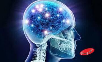 مصرف این غذاها به مغز آسیب میرساند